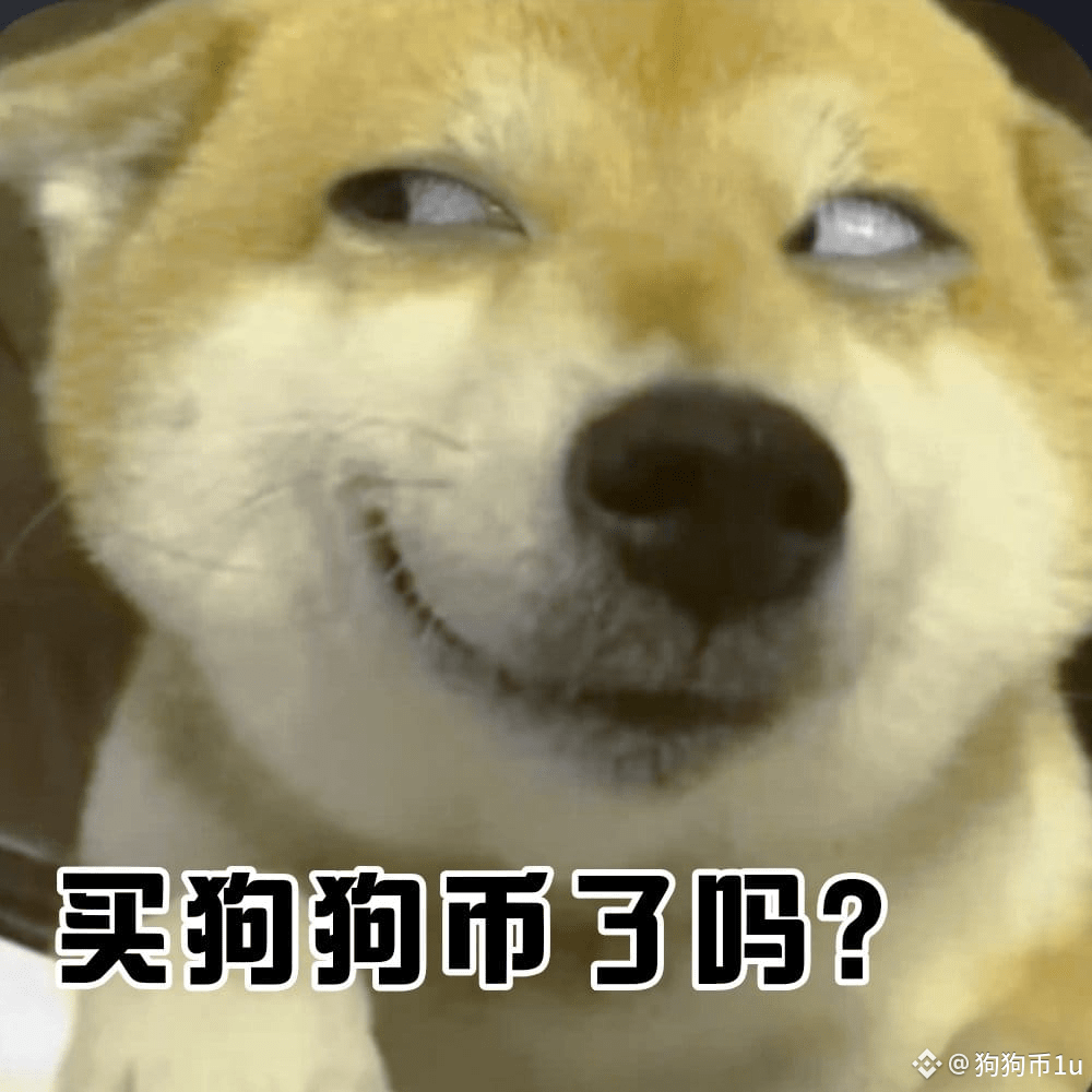 中文_狗狗币s profil | Binance Square