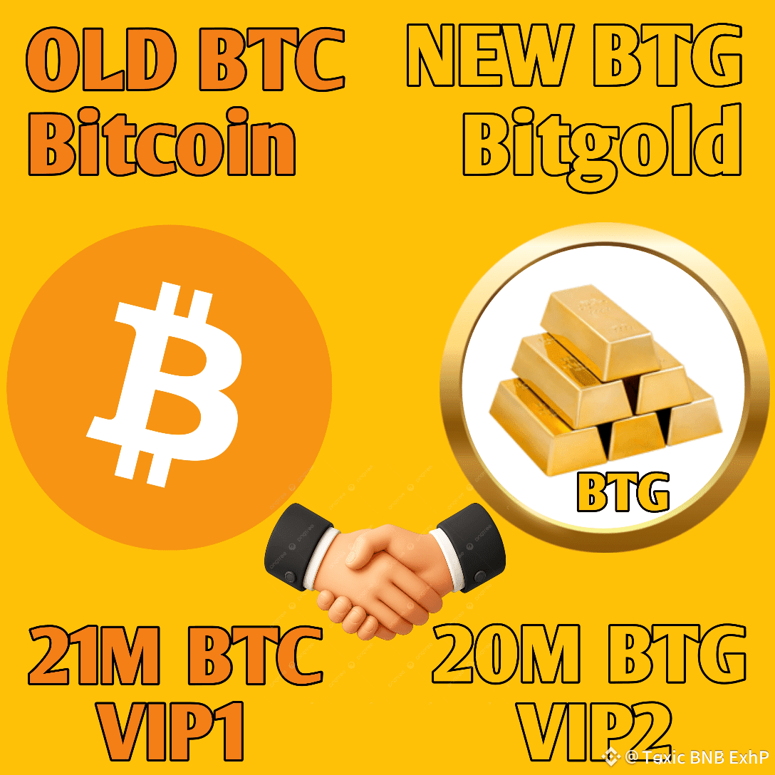Amigos Gran Oferta Comprar Mantener Gran Precio BTG Futuro O | Toxic BNB  ExhP en Binance Square