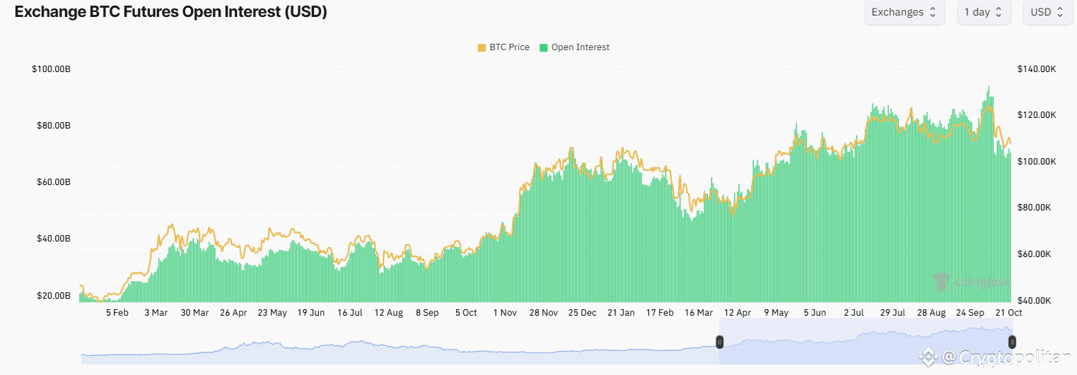 BTC flushed 30% of leveraged positions during the recent market downturn