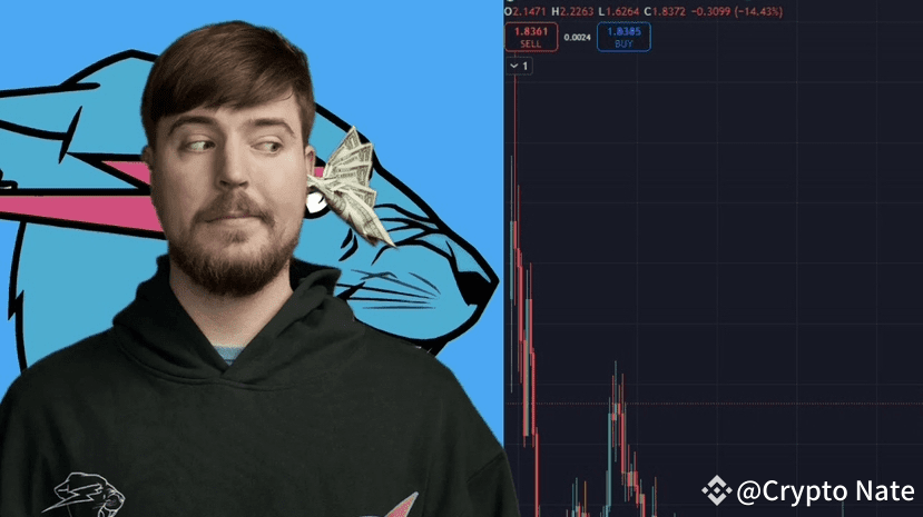 MrBeast The Shocking 20M Crypto Scam Exposed Nate735 On mrbeast-the-shocking-20m-crypto-scam-exposed-nate735-on