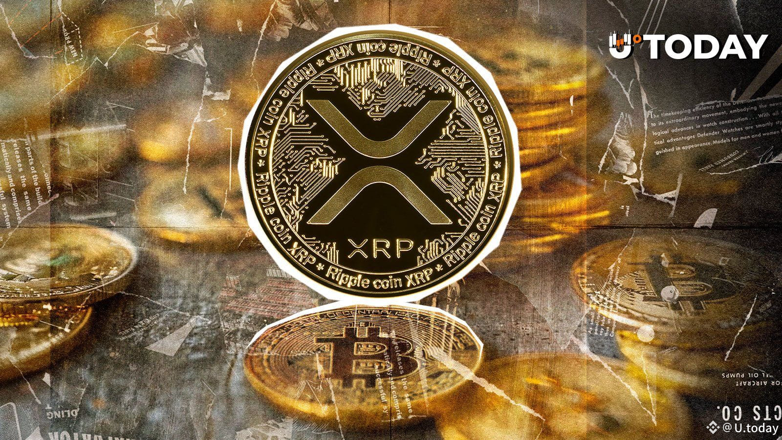 XRP Needs to Decouple From Bitcoin to End Volatility: Black Swan Capitalist  | U.today on Binance Square