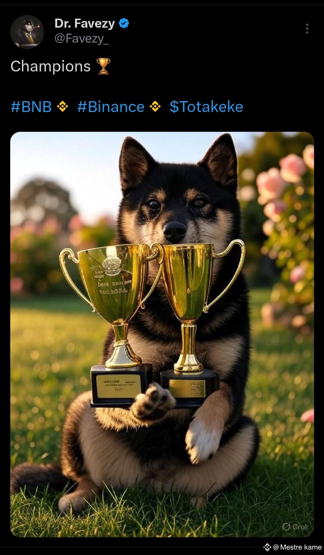 Latest #totakeke News, Opinions and Feed Today | Binance Square