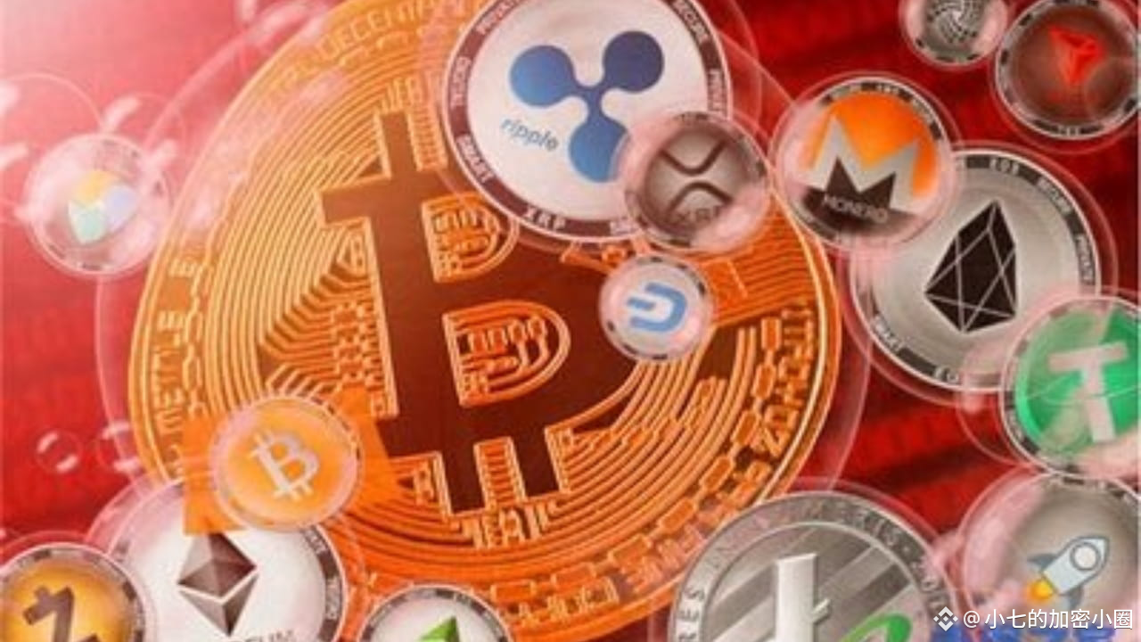 小七的加密小圈的个人资料| 币安广场