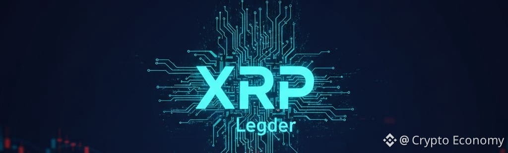 XRP Ledger Adoption and XRP Price
