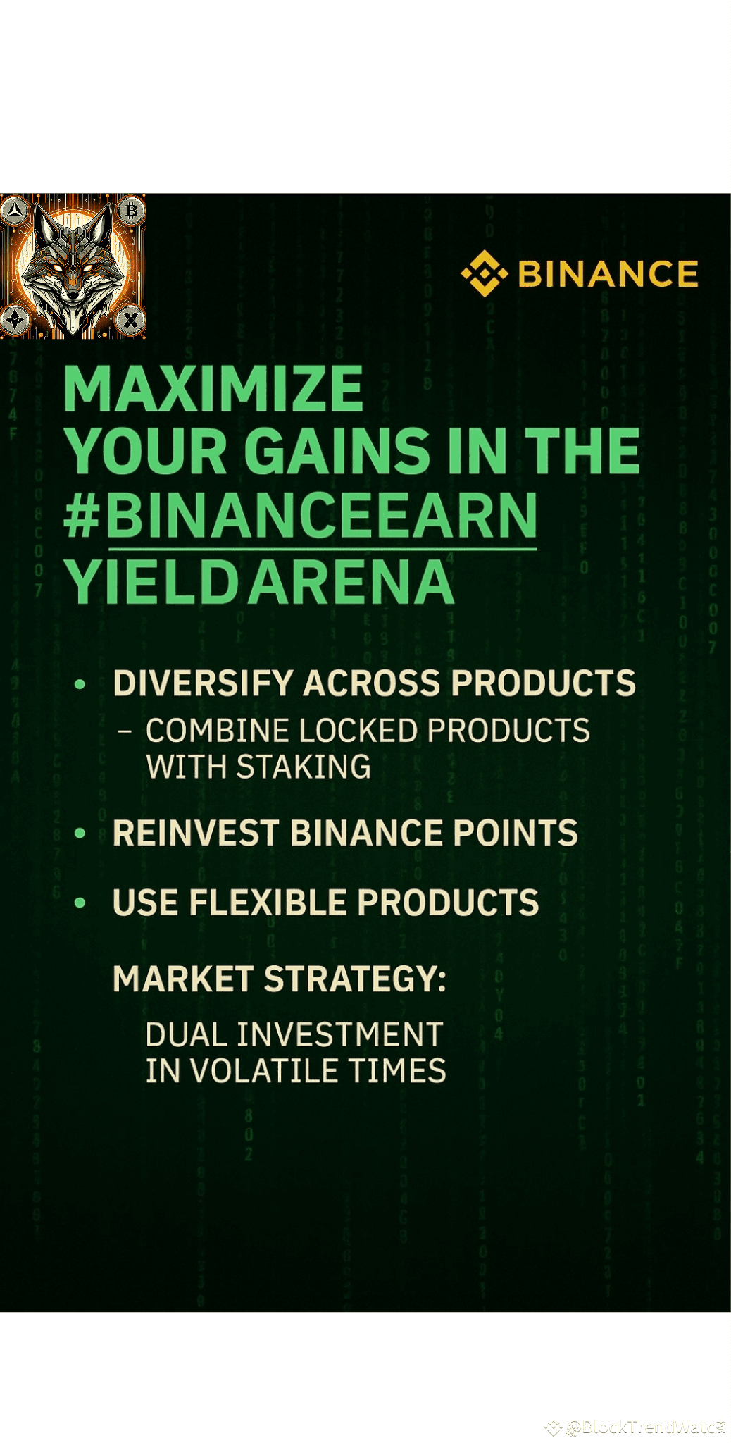 Maximize Your Gains in the My Experience, Tips, and Strategi