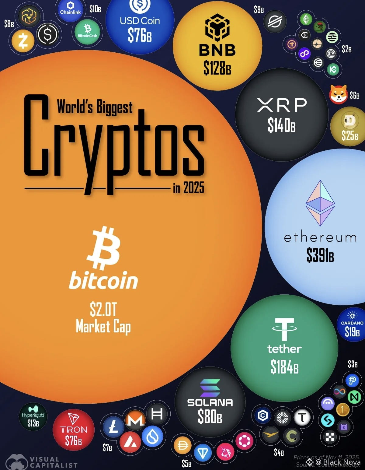 🌟 Top 10 Cryptos by Market Cap 2026 💸 The biggest coins | Black Nova on ...