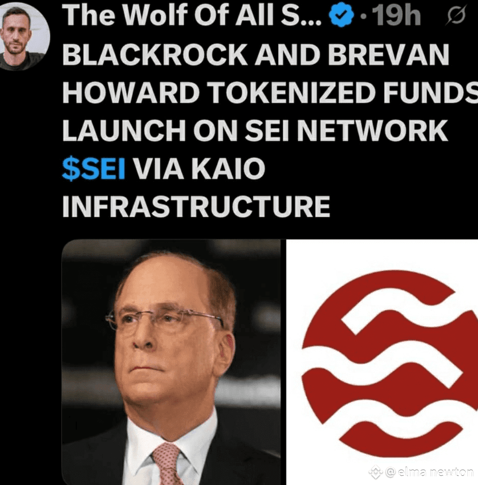 🚨 贝莱德进入SEI生态系统！💥 等待结束——贝莱德和布雷文·霍华德正式在$SEI 上推出他们的代币化基金，由KAI | elma  newton发布于币安广场