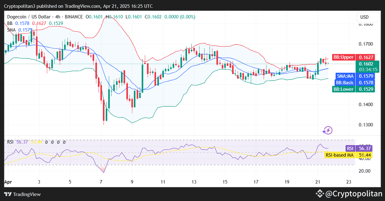 Dogecoin price april 19 2019 open (87) foto