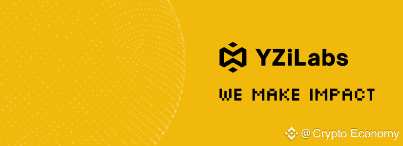 yzi labs post