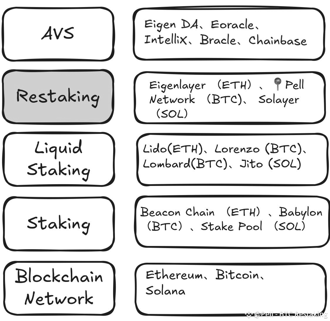 Exploring Pell Network, The First Bitcoin Restaking Network | Pell - BTC  Restaking على Binance Square