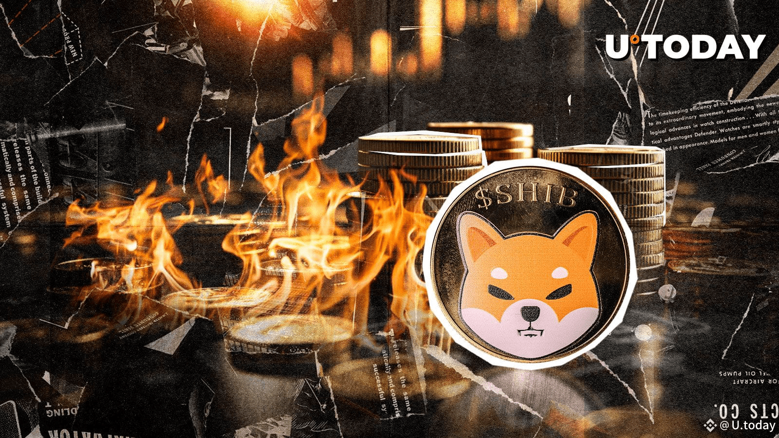 135,130,906 SHIB Gone: Shiba Inu Burn Rate Skyrockets 2,753% | U.today on  Binance Square