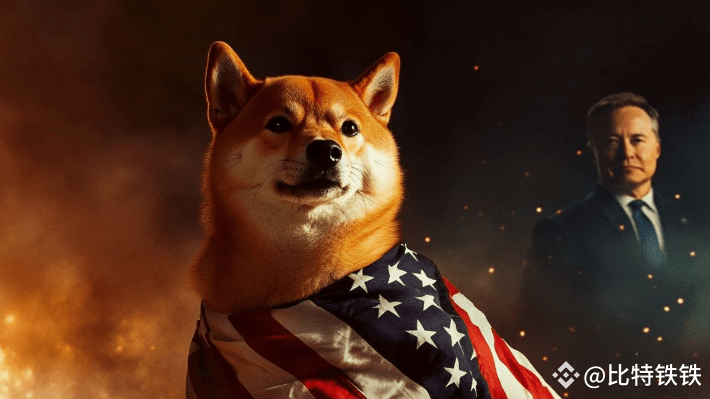 The Dogecoin logo on the official U.S. government website: a | 比特铁铁 on ...