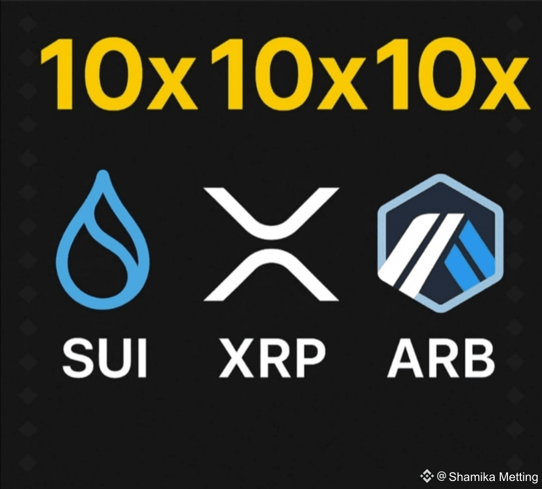 🚀 🧨The 3 Best Cryptocurrencies That Could Multiply Their | Shamika  Metting on Binance Square