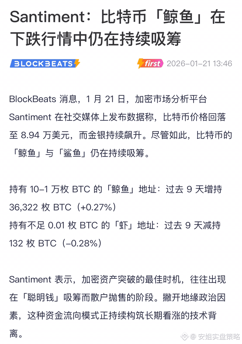 Profil 安姐实盘策略| Binance Square