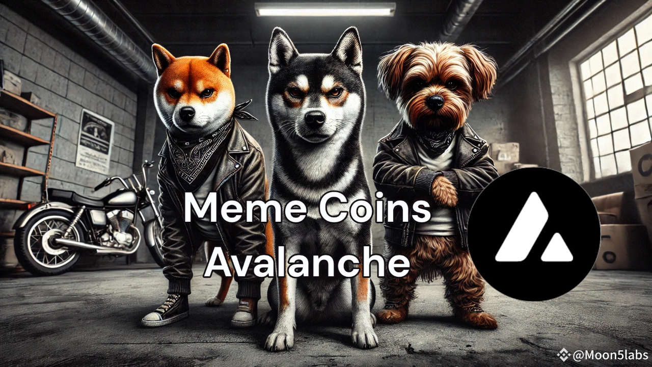 Top 5 Avalanche Meme Coins to Watch in 2024 | Moon5labs on Binance Square