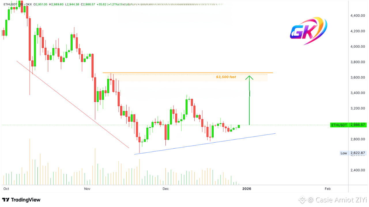 Casie Amiot ZlYiのプロフィール | Binance Square