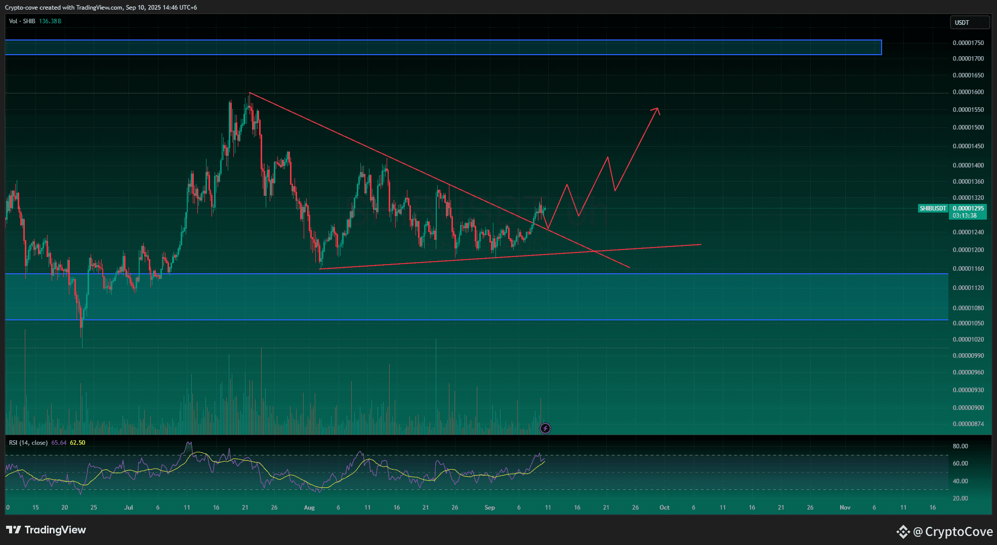 SHIB WILL SHINE BUT WHEN? | CryptoCove on Binance Square