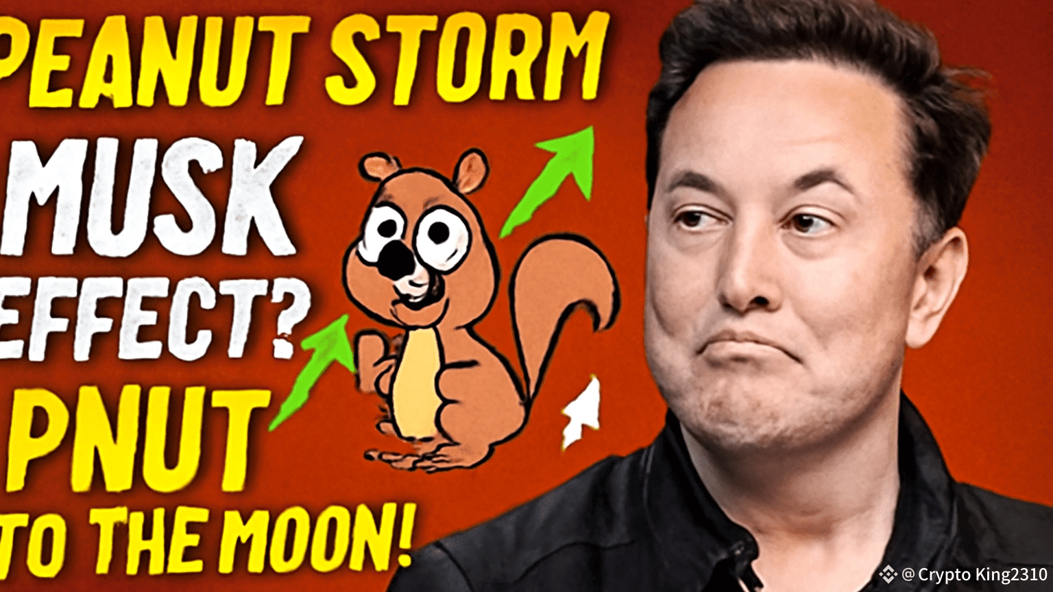Elon Musk Just Broke the Internet Again — PNUT Coin Explodes After One Wild  Tweet! | Yousuf khan2310 on Binance Square