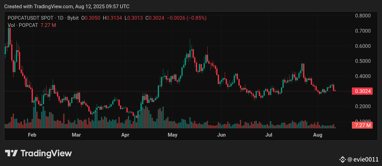 🐱 $POPCAT Price Update 🐱 Current Price: $0.3028 24h Volume | Evie埃维利里什 på  Binance Square
