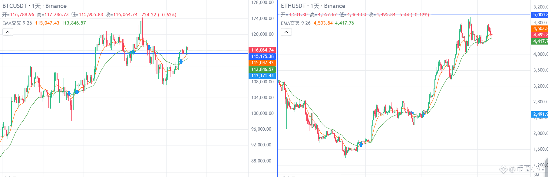 决战降息夜？比特币暴涨还是血洗？巨鲸80亿狂扫DOGE，币安系全线异动！山寨要稳不住了？代币全攻略来了