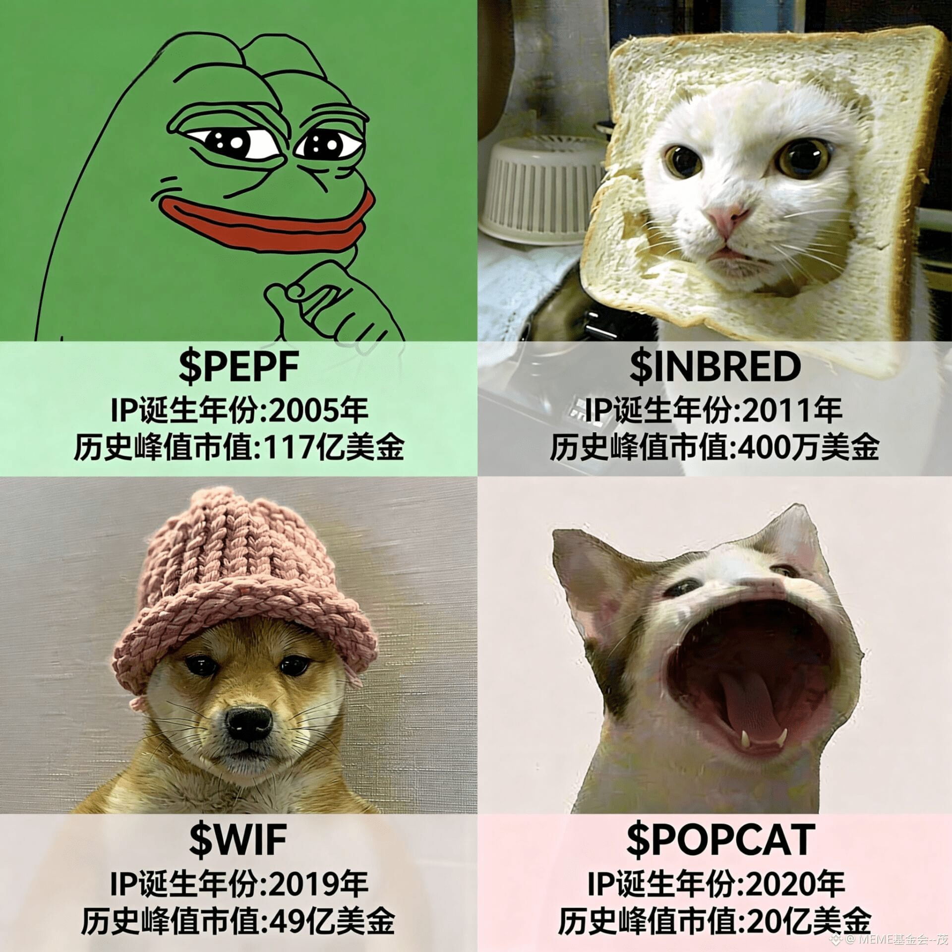 Latest #popcat News, Opinions and Feed Today | Binance Square