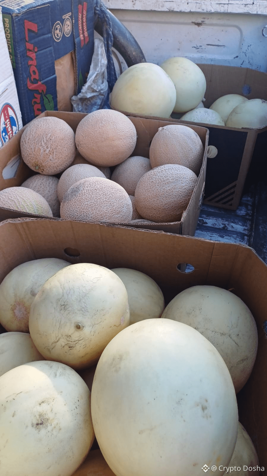 Hello, crypto community! 🚀 Today I want to explain a simple | Crypto Dosha  on Binance Square