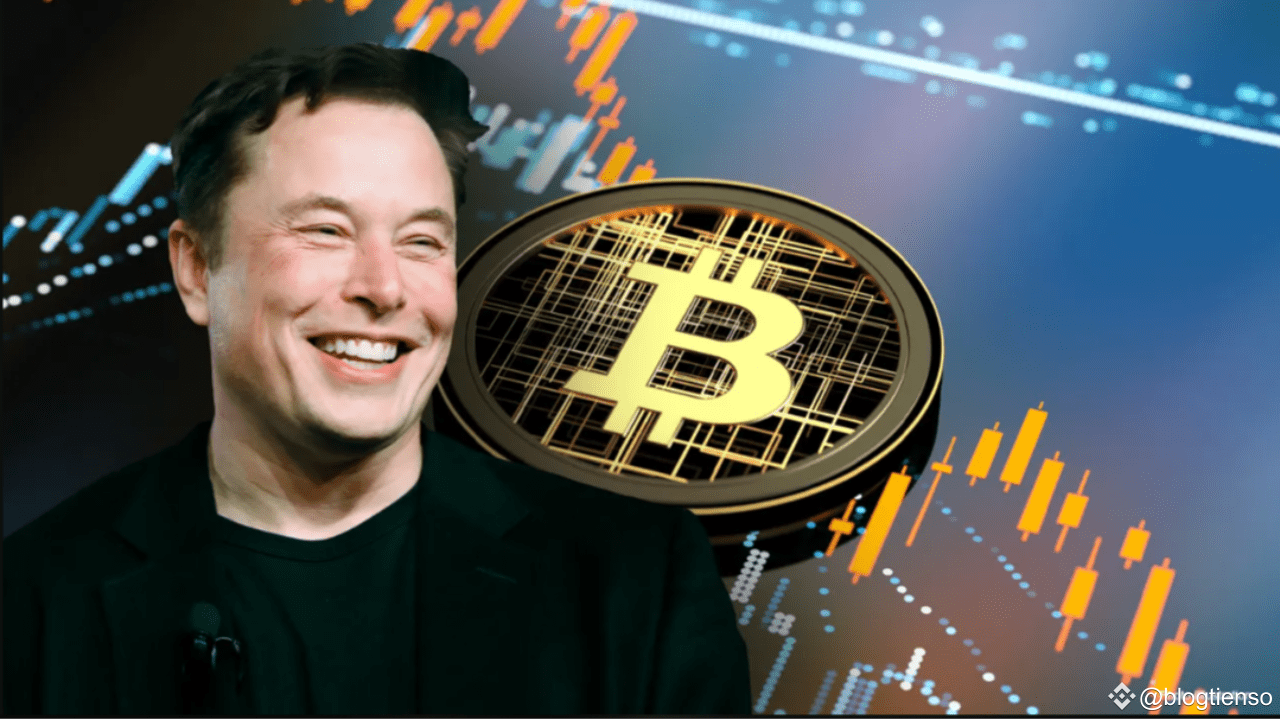 Elon Musk Has Publicly Acknowledged Owning 3 Types of Cryptocurrencies |  blogtienso on Binance Square
