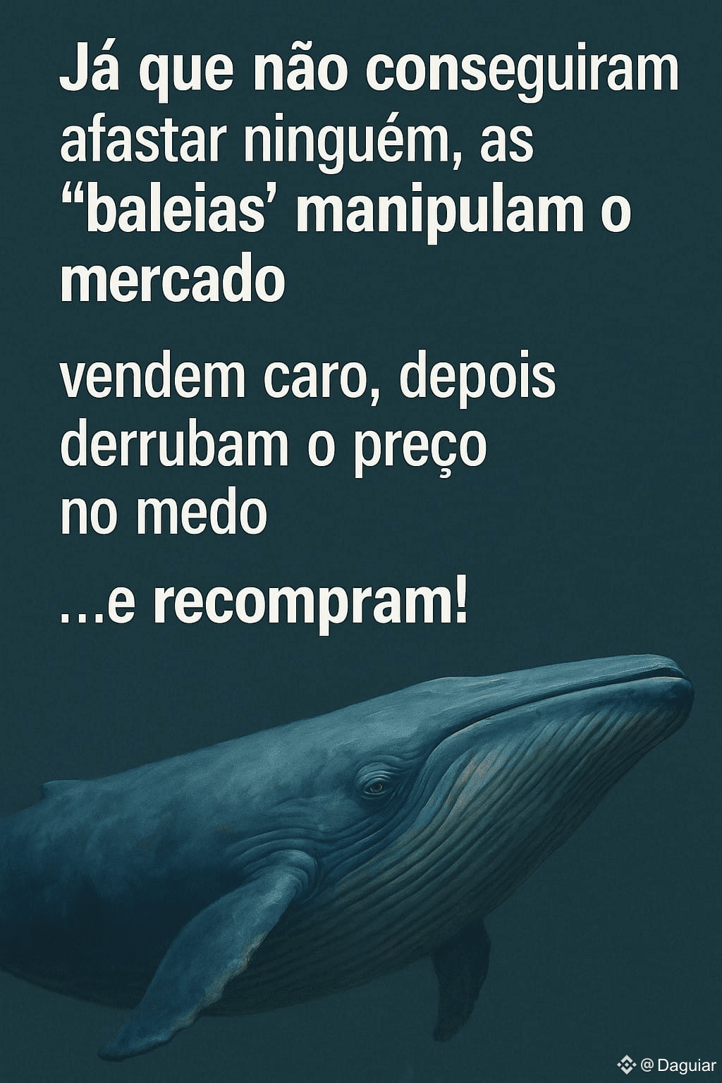 He bought Btc for $13 - Daniel Fraga: The Bitcoin Pioneer in Brazil. |  Daguiar on Binance Square
