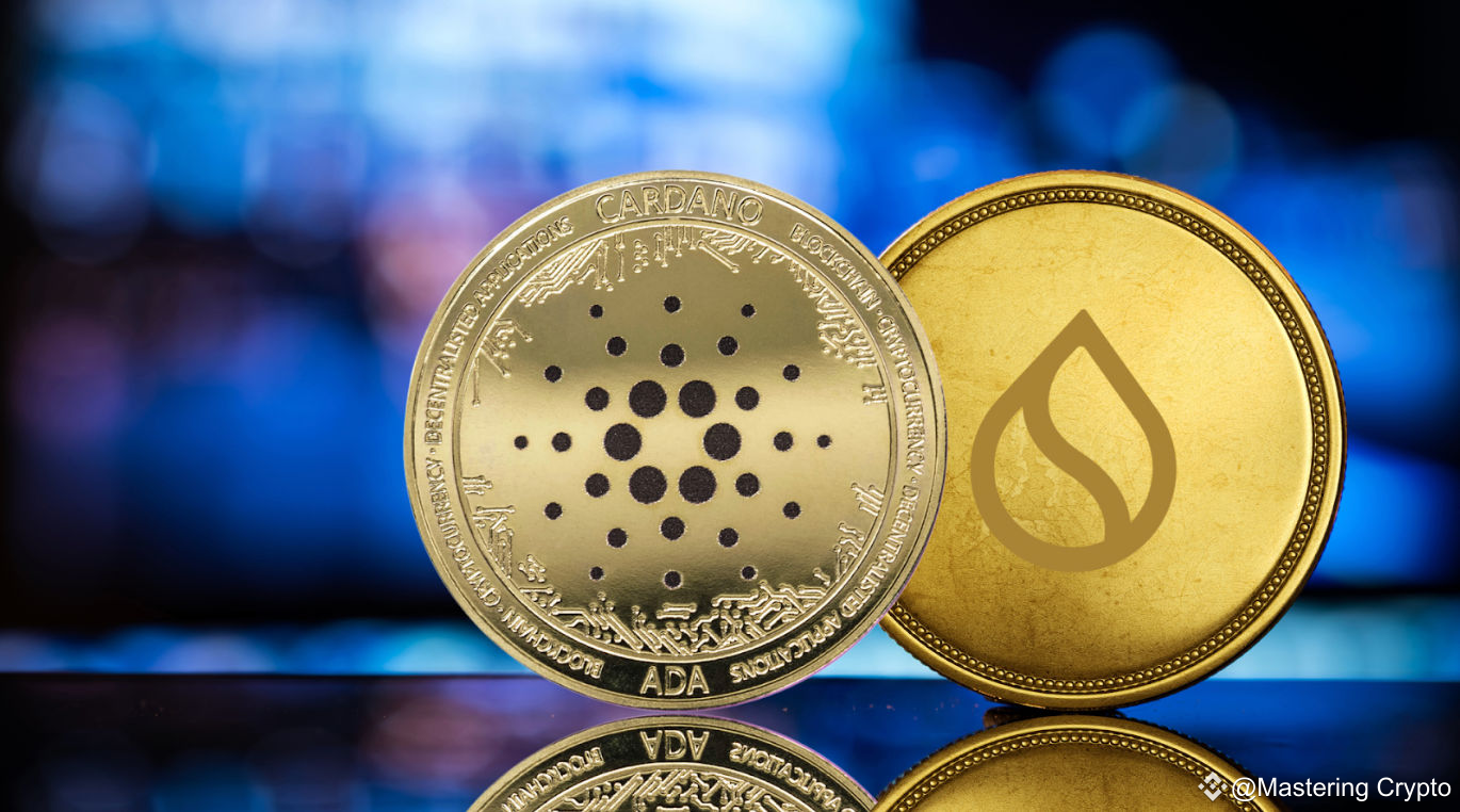 Se você investir $10.000 em $ADA ou $SUI hoje, quanto pode | Mastering  Crypto no Binance Square