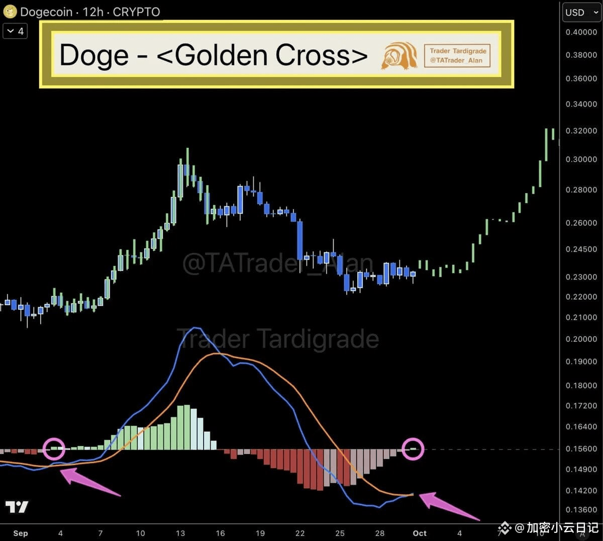狗狗币(DOGE)价格走势图