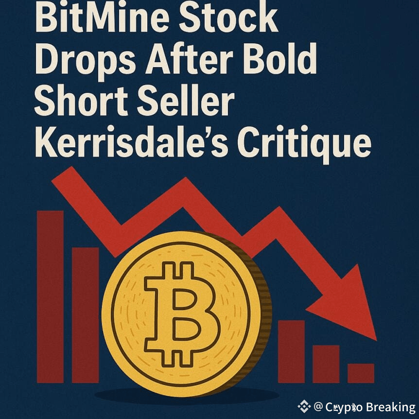 Bitmine Stock Drops After Bold Short Seller Kerrisdale's Critique