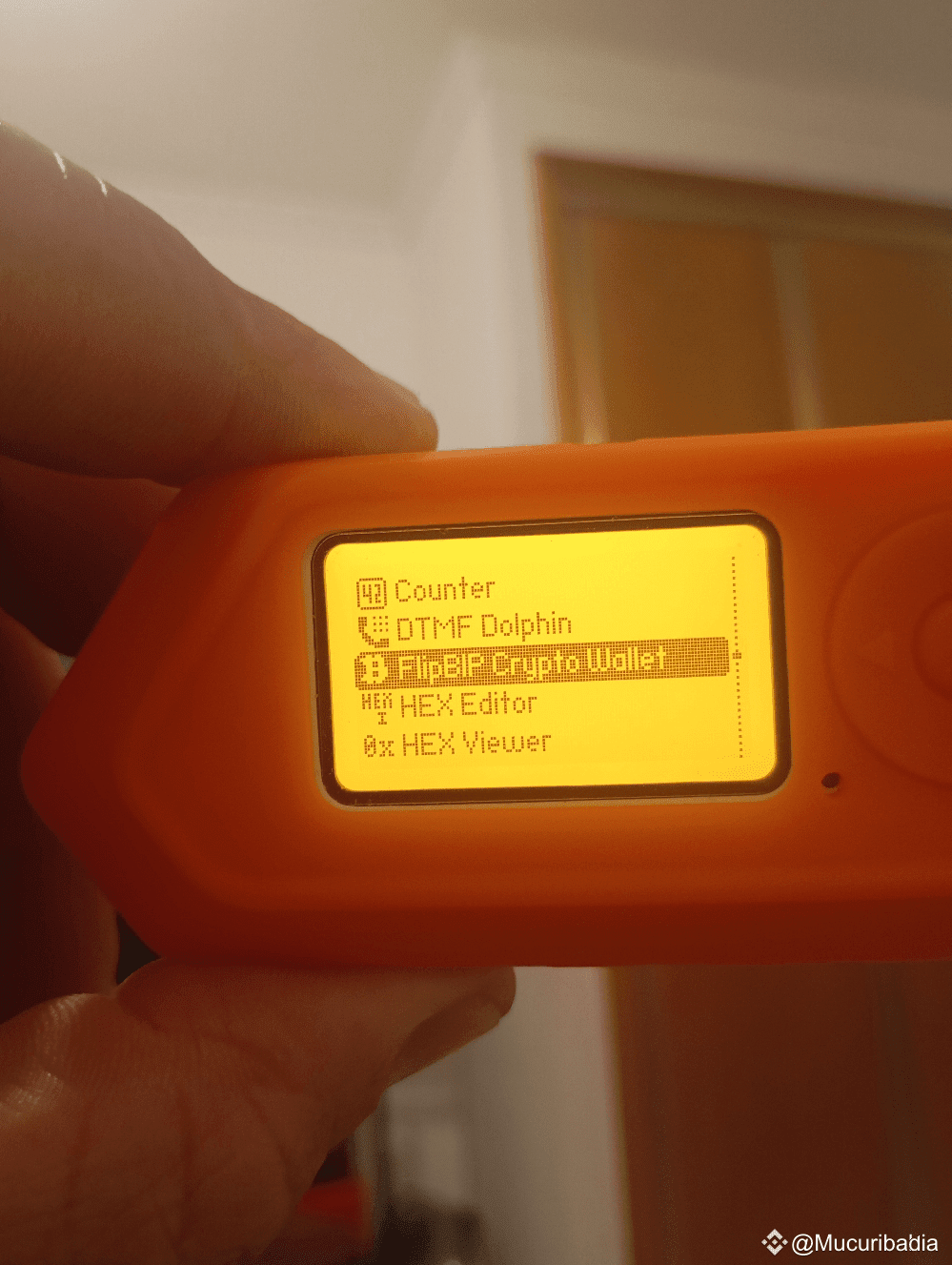 Your flipper zero will be your new hardware wallet | Mucuribahia on Binance  Square