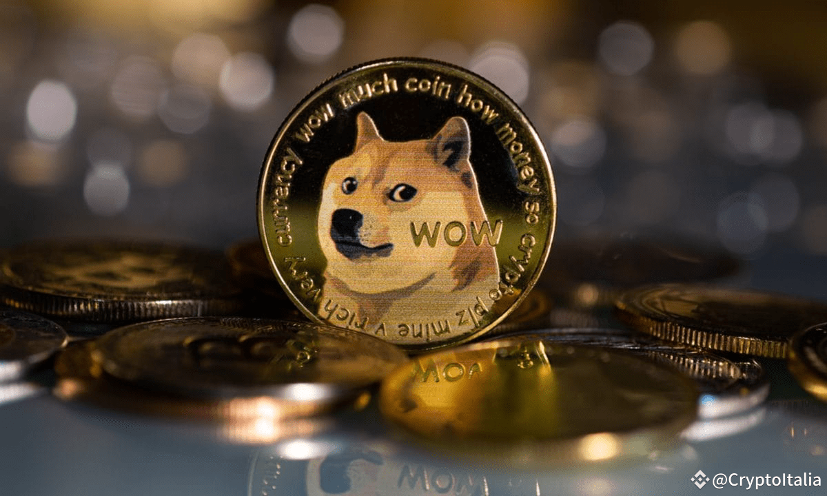 🚨 $DOGE Alerta de Bull Run 💯 🔥 ÐogeCoin agora não é ME | OldManHolder ...