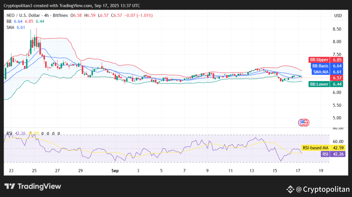 NEO price prediction 2025-2031: Is it good to invest in NEO now? |  Cryptopolitan on Binance Square