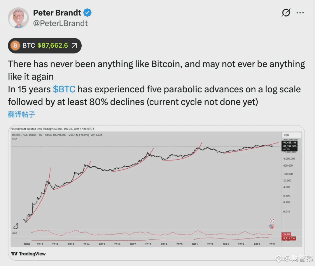 Peter Brandt：比特币下轮牛市高点将在2029年9月，其成长轨迹堪称「空前绝后」 | 财富鹅on Binance Square