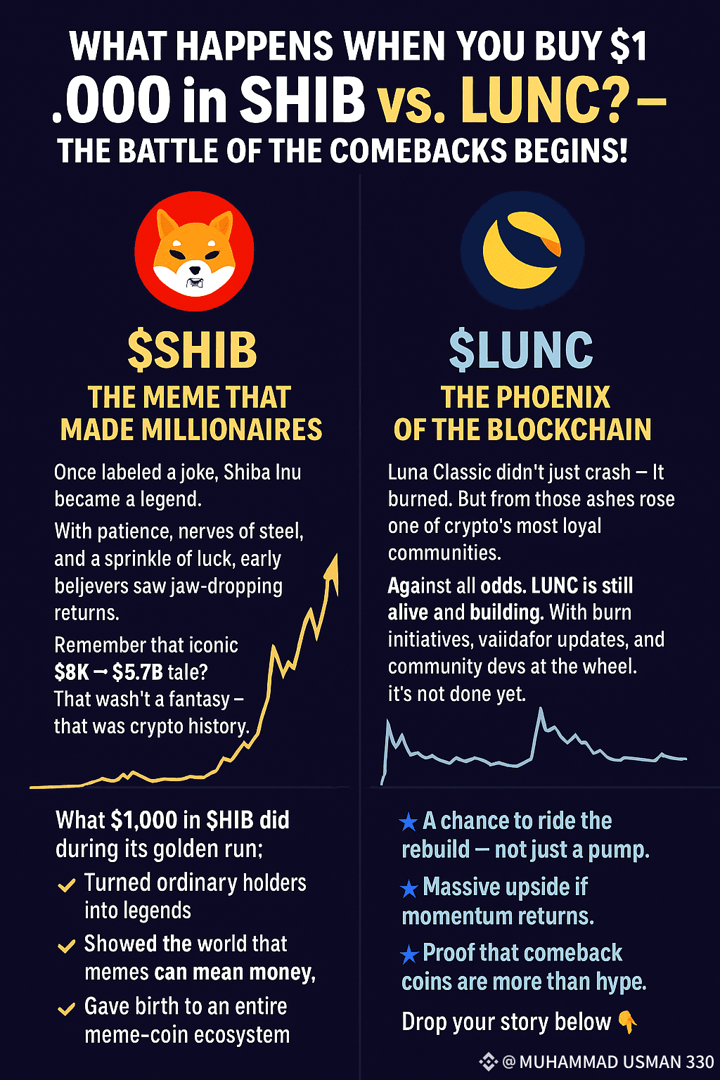 🔥 What Happens When You Buy $1,000 in $SHIB vs. $LUNC ? — | MUHAMMAD USMAN  330 on Binance Square