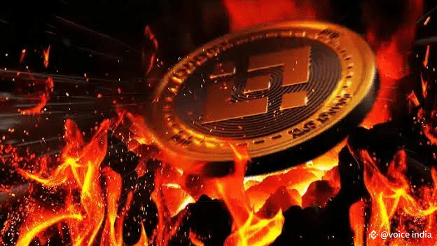 *🔥 The Binance Coin (BNB) Burn: What You Need to Know 🔥* | VOLATILITY ...