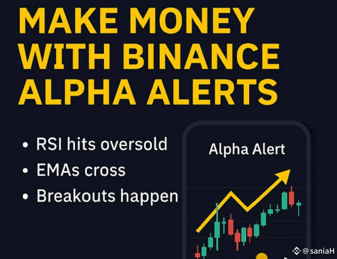 BinanceAlphaAlert :Binance Alpha Alert is a notification sy | saniaH on  Binance Square