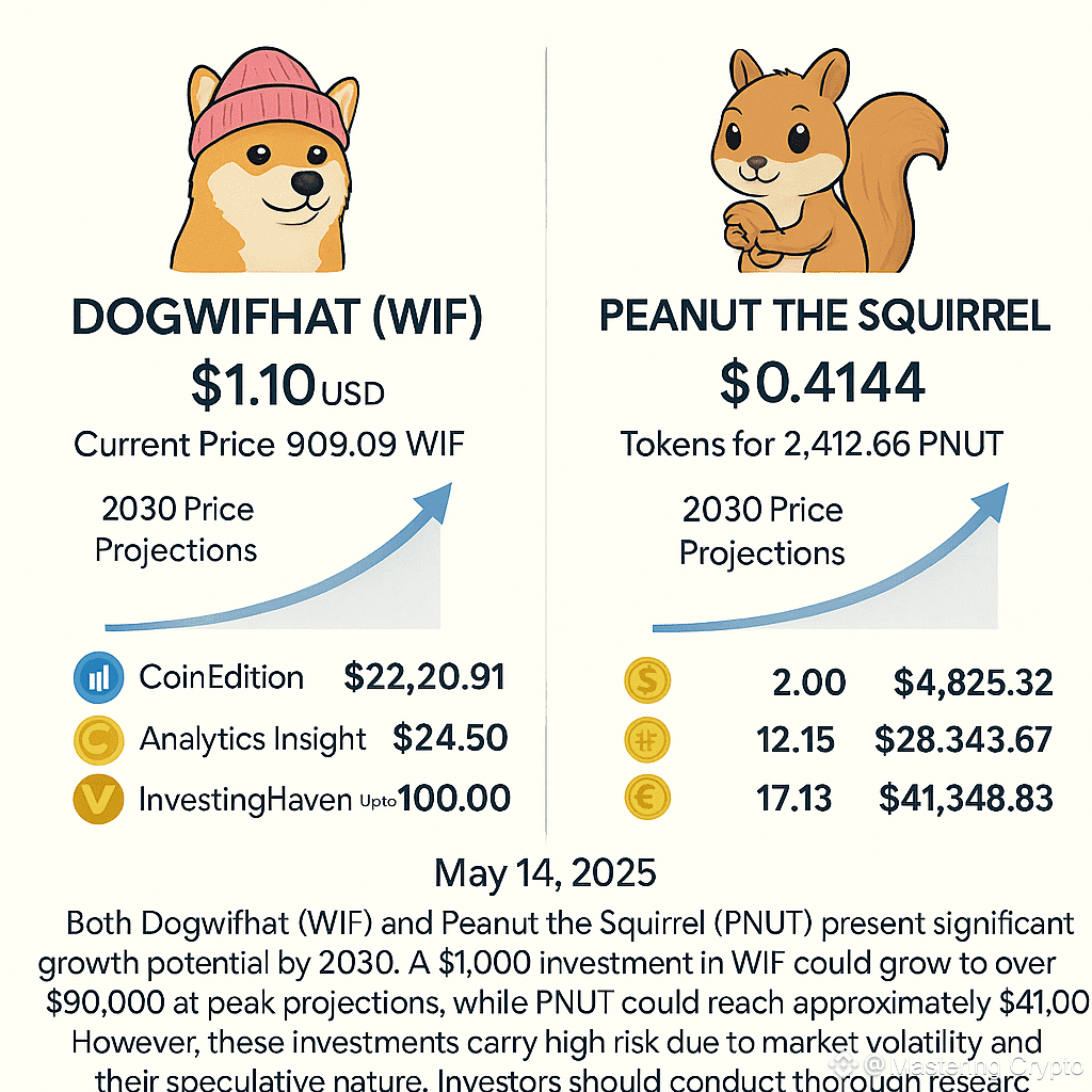 What If You Invested $1,000 in $WIF or $PNUT and | Mastering Crypto on  Binance Square