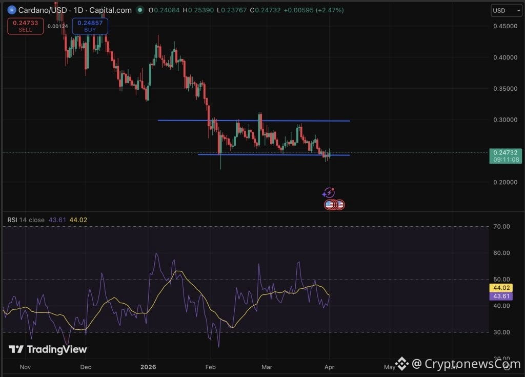 Cardano price is at $0.27, up by 2.8% in 24 hours, clawing back ground after weeks of compression and bad prediction in the low-$0.24 range.