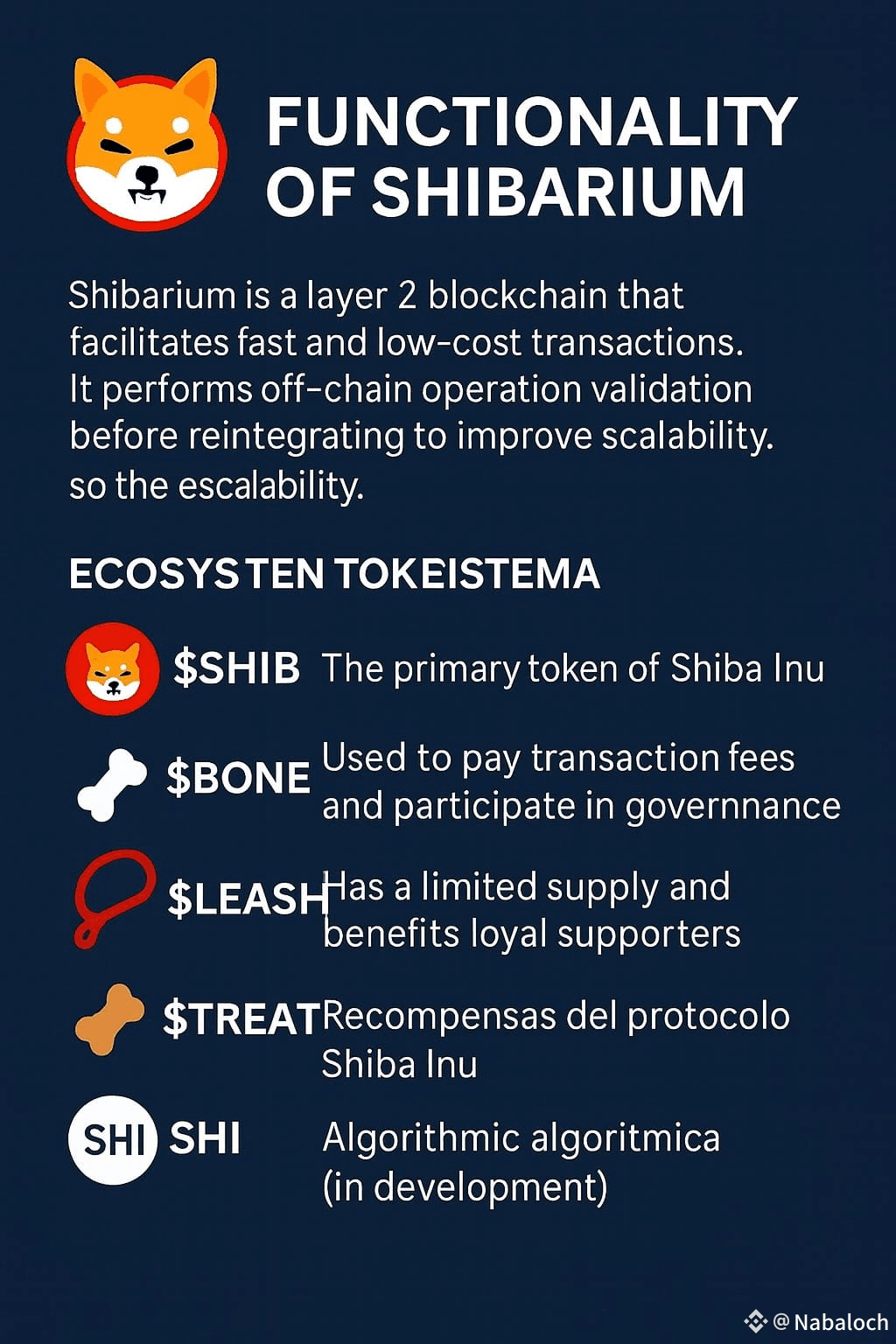 Latest #bone News, Opinions and Feed Today | Binance Square