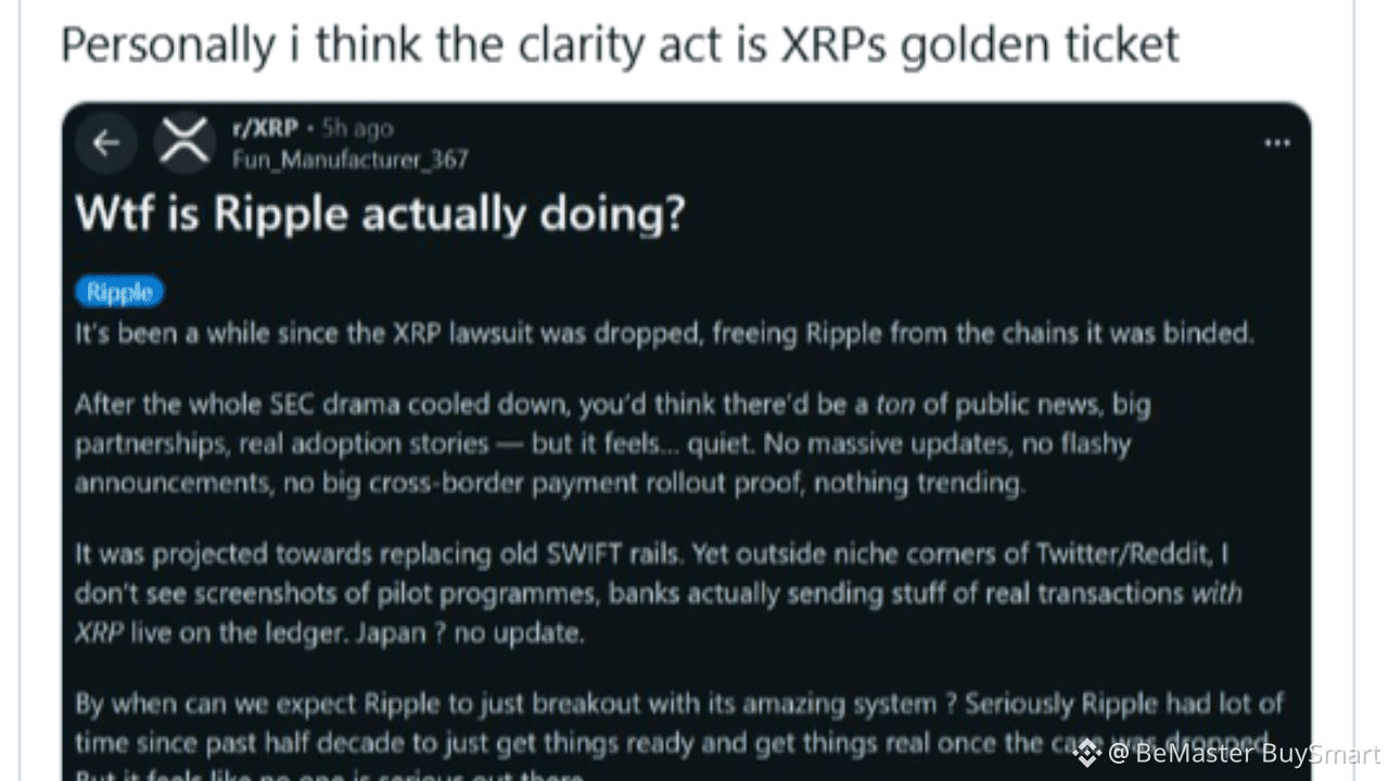 Software Dev: I Thought XRP Price Would Be Much Higher, But… | BeMaster  BuySmart on Binance Square