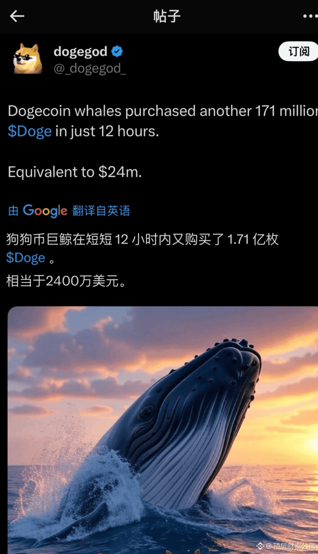 Latest #doge News, Opinions and Feed Today | Binance Square