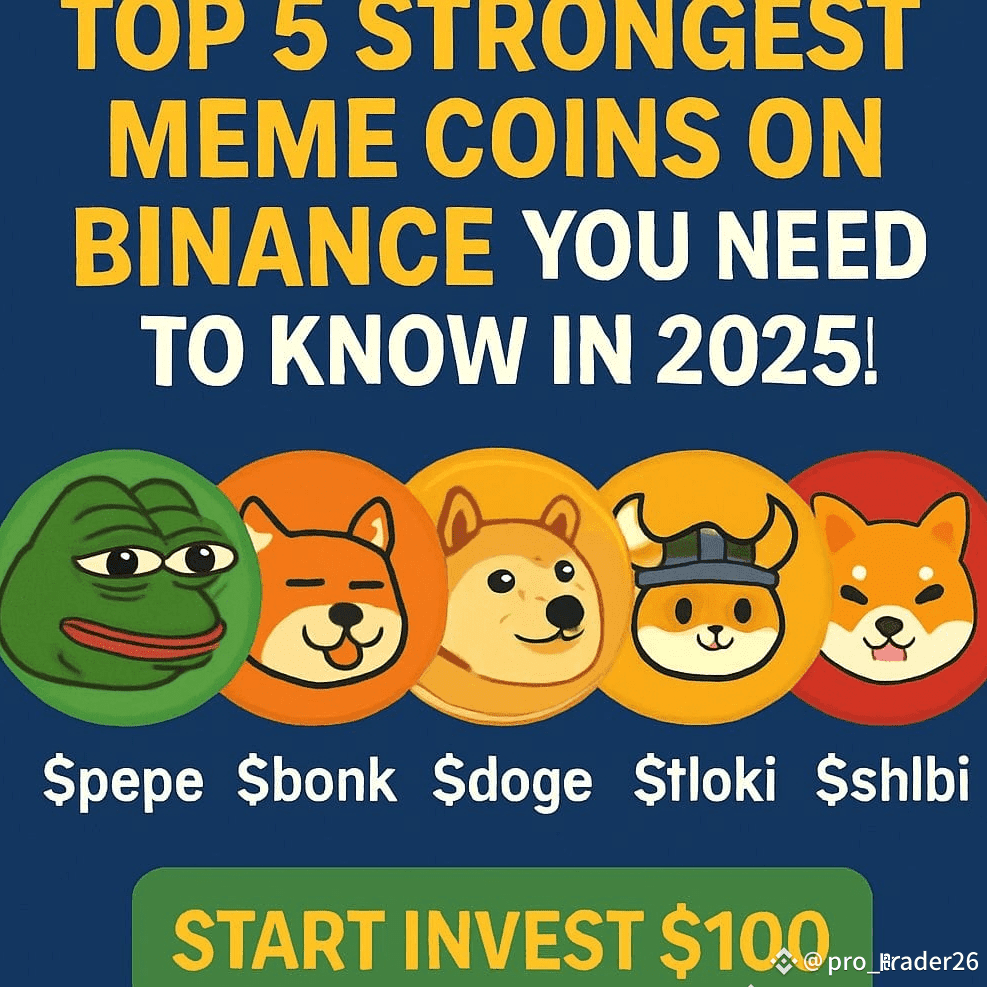 今日#shibi 最新资讯、观点和推送| 币安广场