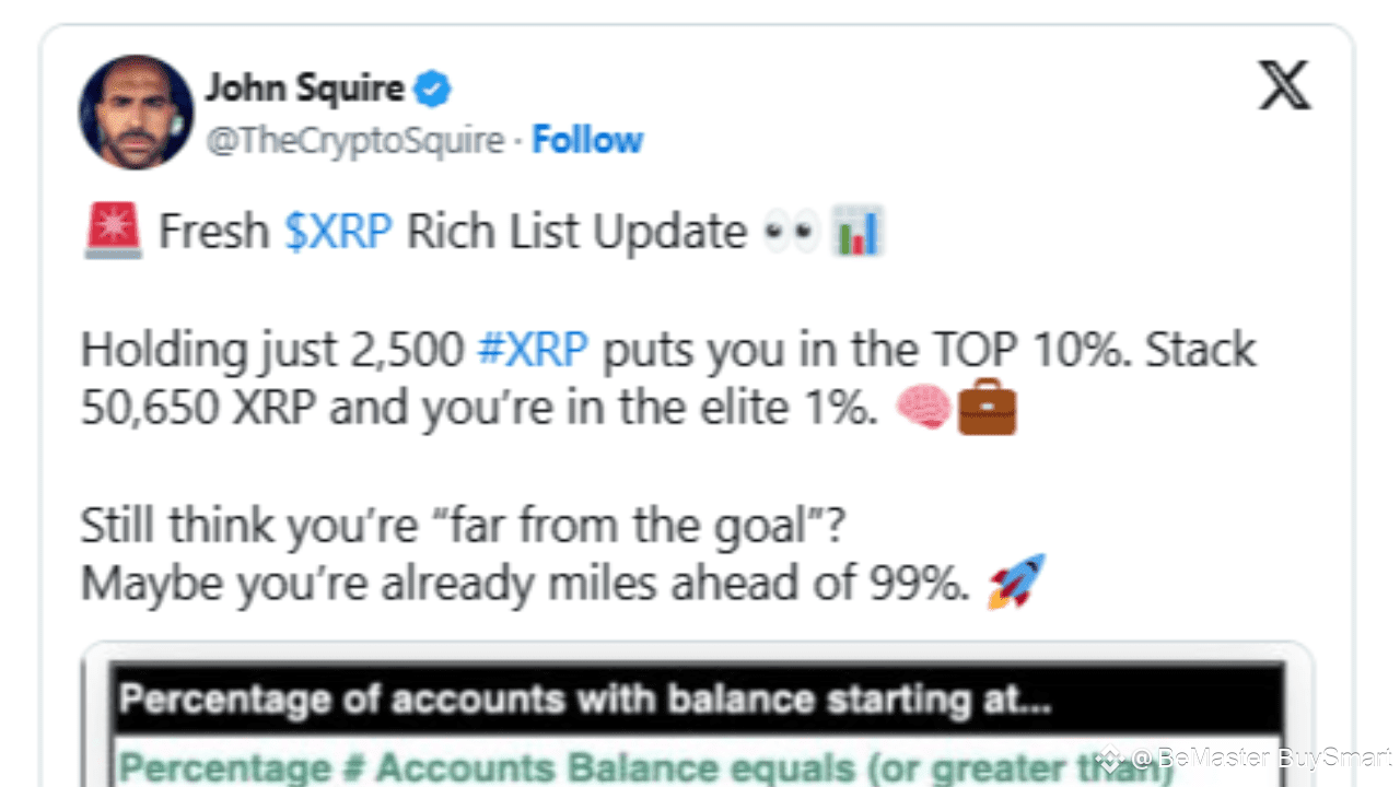 리플 리치 리스트 (83) 사진