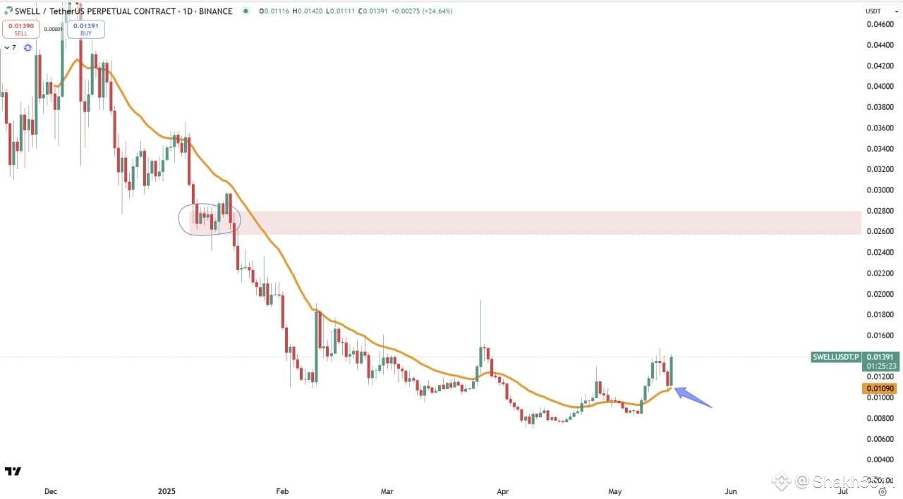 Latest #swellnetwork News, Opinions and Feed Today | Binance Square