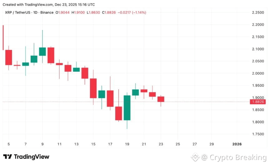 Xrp Price Prediction: Will Ripple Rally During The Christmas Market?