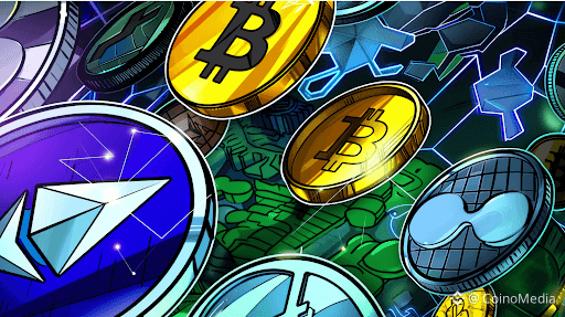 Shiba Inu (SHIB) vs Mutuum Finance (MUTM): Why Capital Is Flowing Out of SHIB and Into MUTM