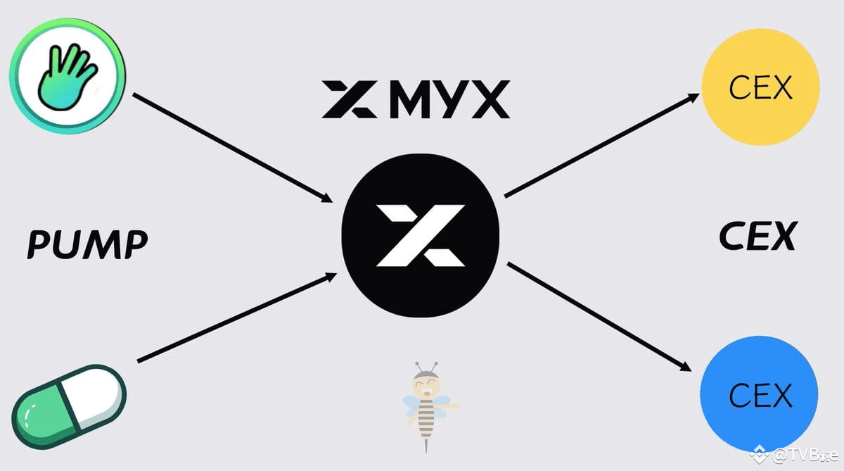 DEX模型创新再现，假如pump加杠杆你会怎么做？ | TVBee en Binance Square