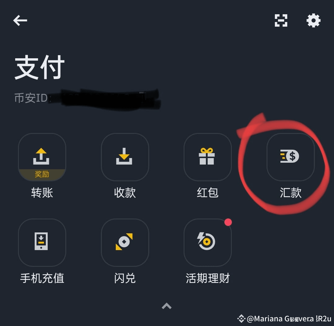 4个问题1. 币安只有C2C交易，我只能通过支付宝、微信的支付来换USDT。但是有风控，只能交易一点。各位大佬是怎么搞|